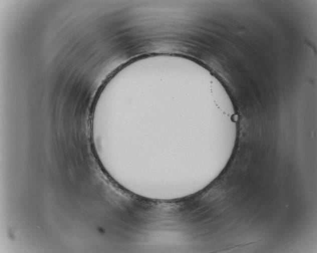 X0000103300848200809122028