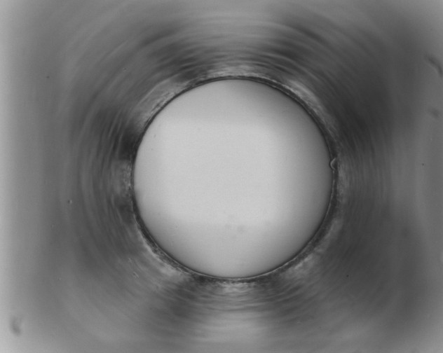 X0000103300849200809122028