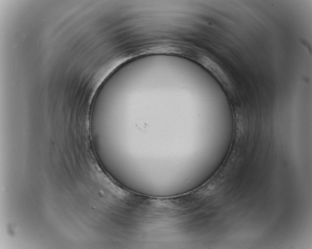 X0000103300852200809122028