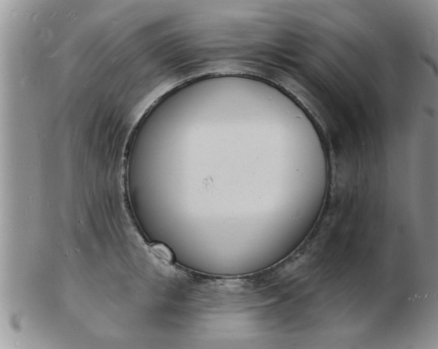 X0000103300853200809122028