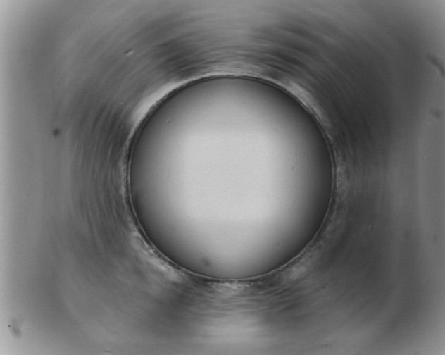 X0000103300854200809122028