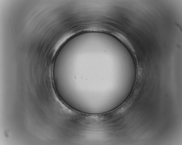 X0000103300855200809122028