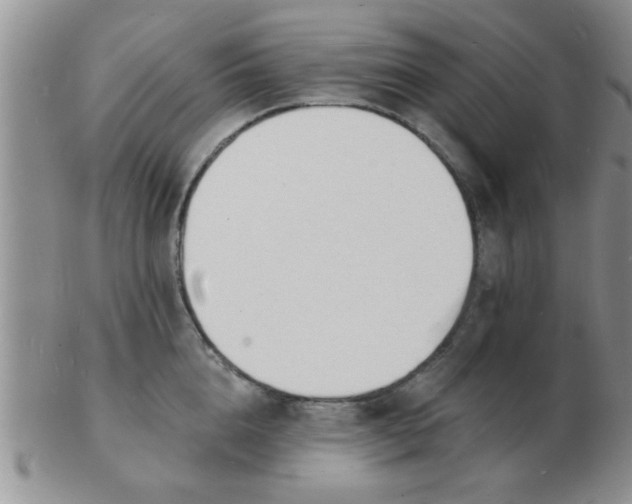 X0000103300856200809122028