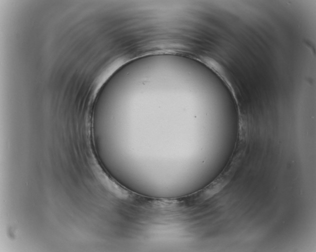 X0000103300859200809122028