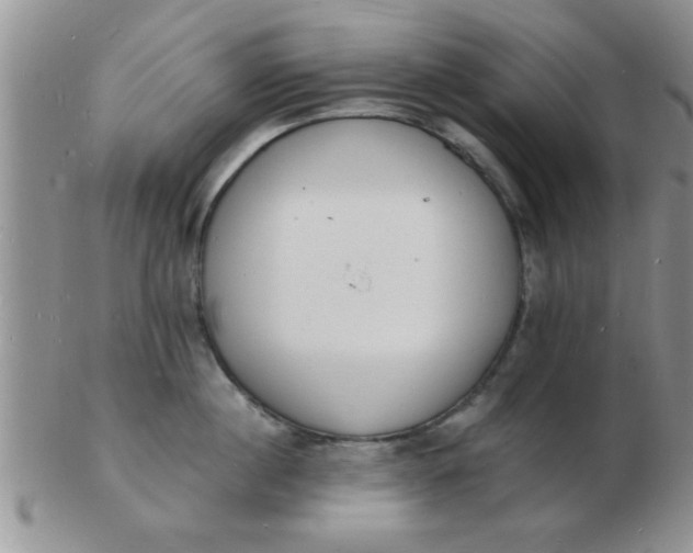 X0000103300860200809122028