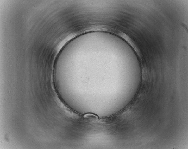 X0000103300861200809122028