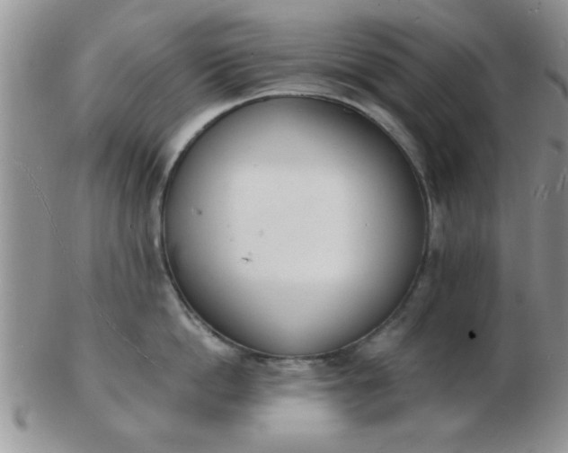 X0000103300862200809122028