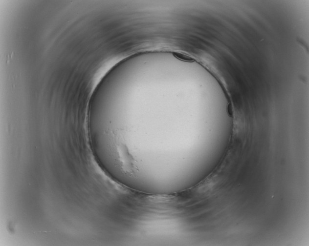 X0000103300863200809122028