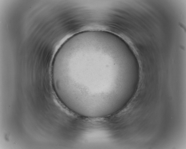 X0000103300864200809122028