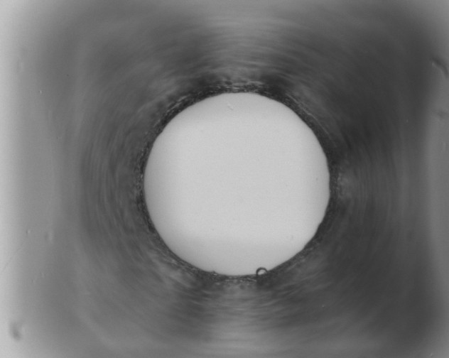 X0000103300865200809122027