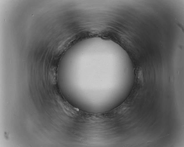 X0000103300868200809122027