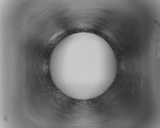 X0000103300869200809122027