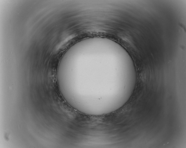 X0000103300870200809122027