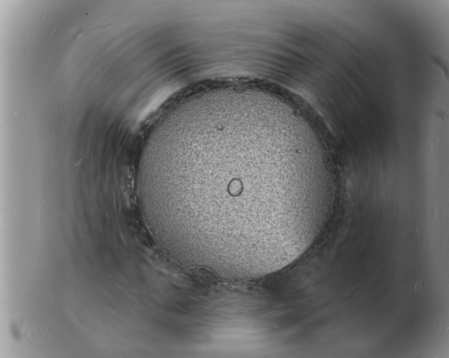 X0000103300871200809122027