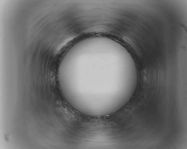 X0000103300872200809122027