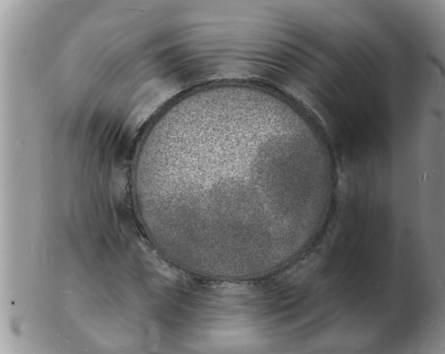 X0000103300874200809122027