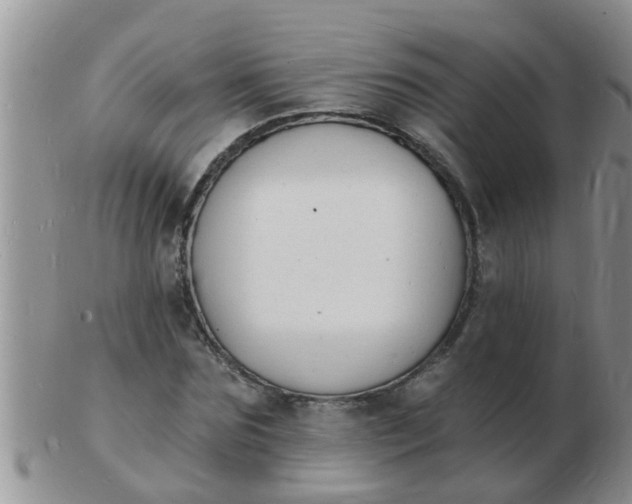 X0000103300875200809122027