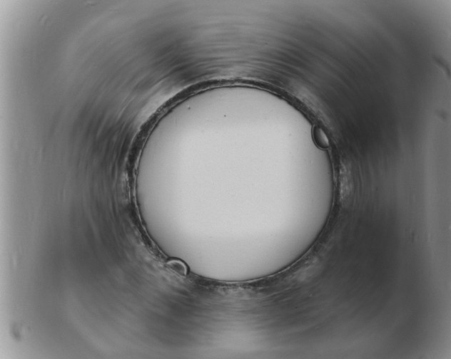 X0000103300876200809122027