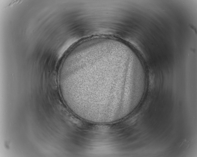 X0000103300878200809122027