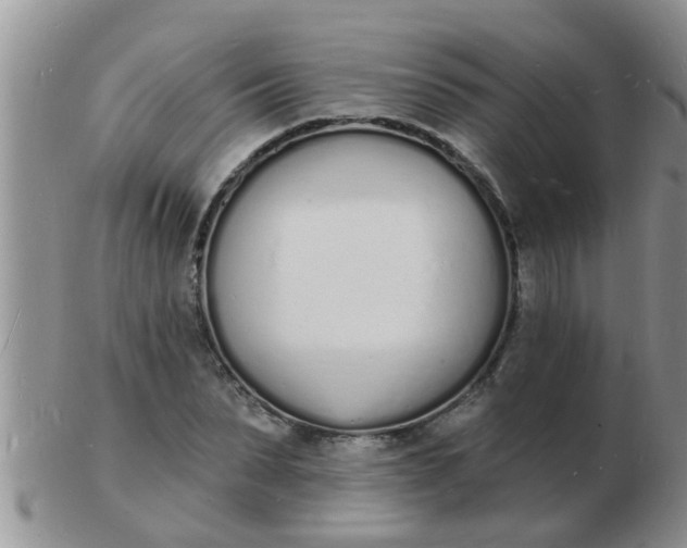 X0000103300879200809122027