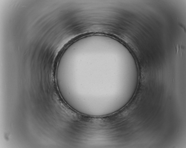 X0000103300880200809122027