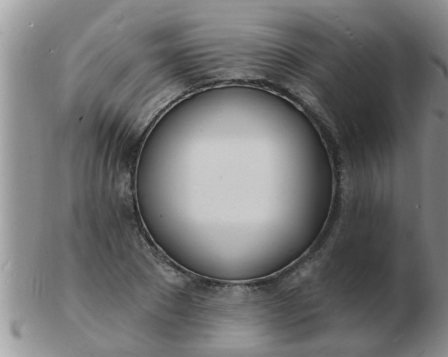 X0000103300881200809122027