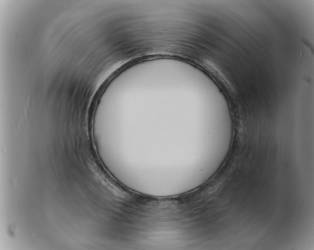 X0000103300884200809122027