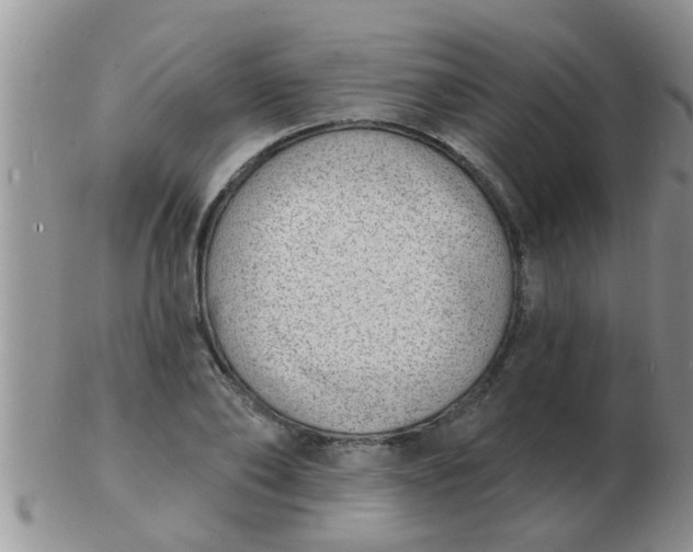 X0000103300886200809122027