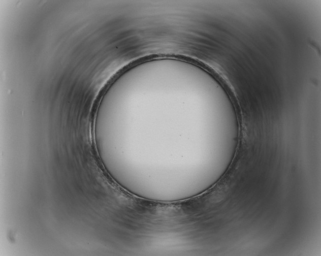 X0000103300887200809122027