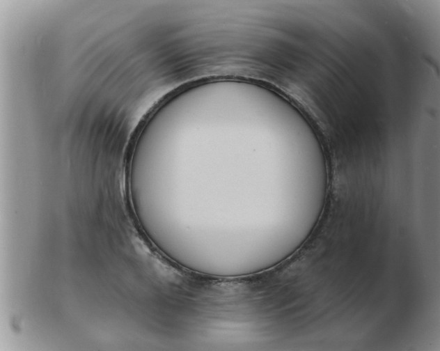 X0000103300888200809122027