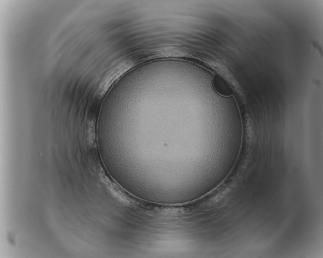 X0000103300889200809122027