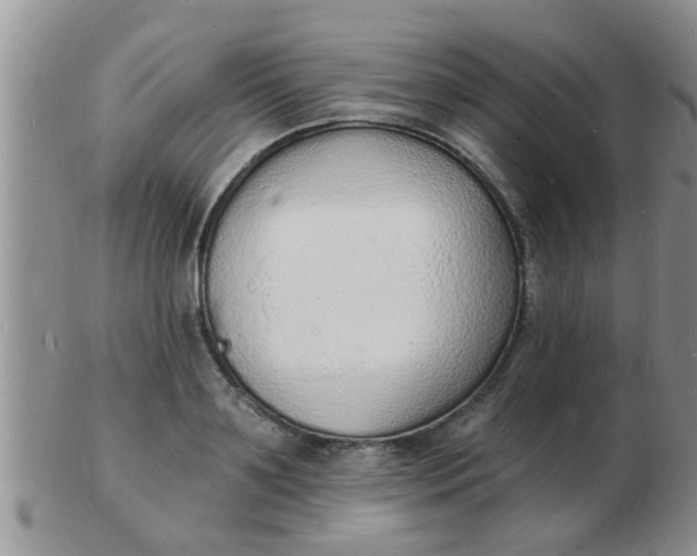 X0000103300891200809122027