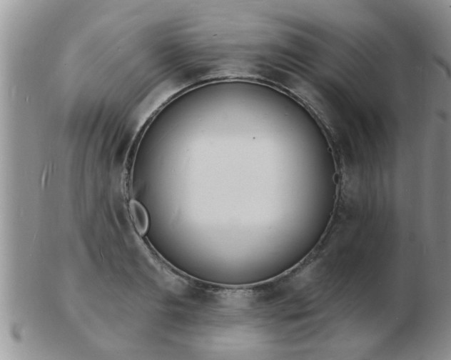 X0000103300893200809122027