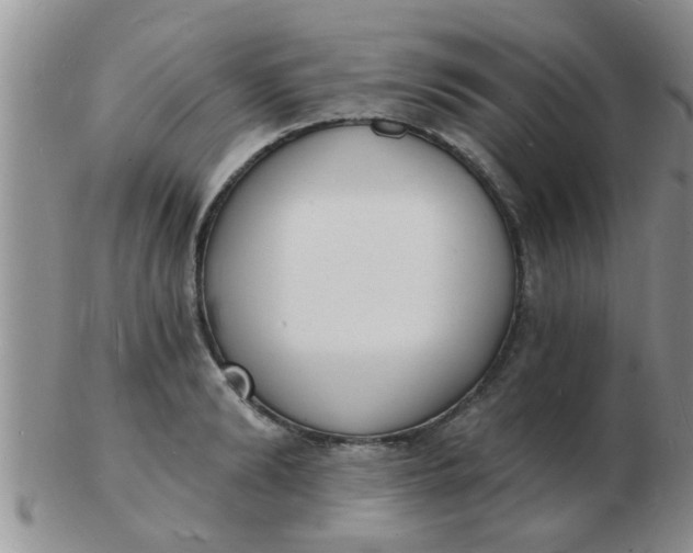 X0000103300894200809122027