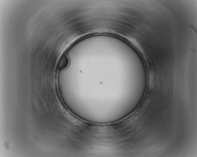 X0000103300895200809122027