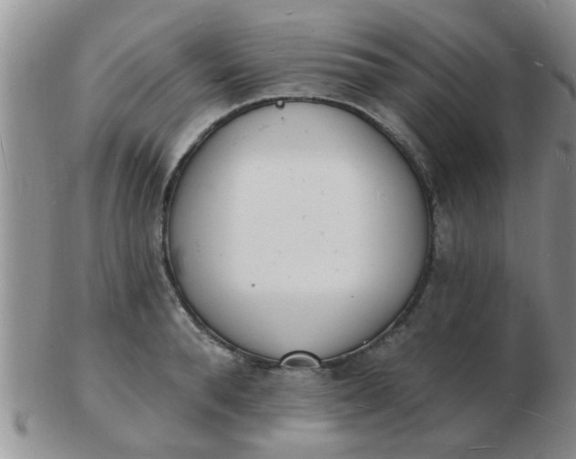 X0000103300896200809122027