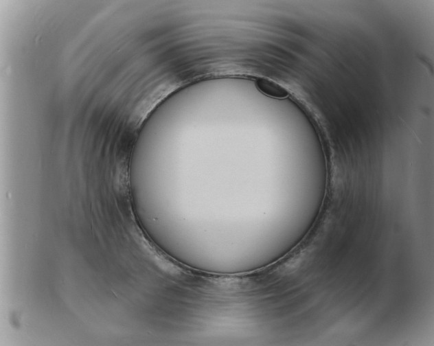 X0000103300897200809122027