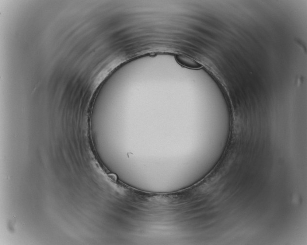 X0000103300898200809122027