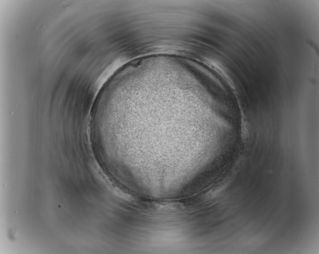 X0000103300899200809122027