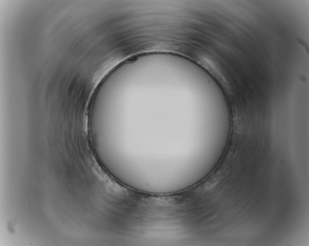 X0000103300900200809122027