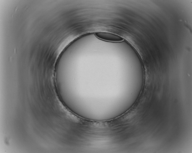 X0000103300901200809122027