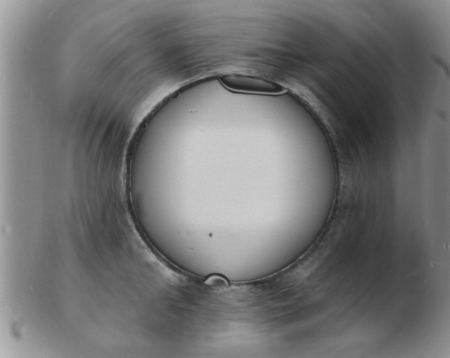 X0000103300902200809122027