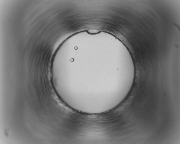 X0000103300904200809122027