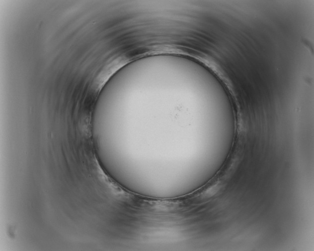 X0000103300905200809122027