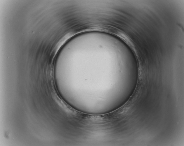 X0000103300907200809122027