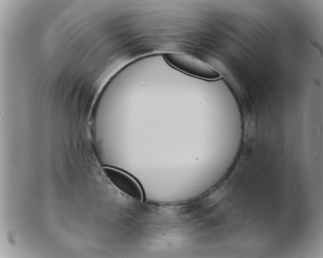 X0000103300908200809122027