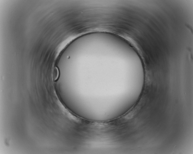 X0000103300910200809122027