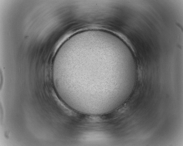 X0000103300911200809122027