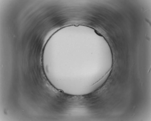 X0000103300912200809122027