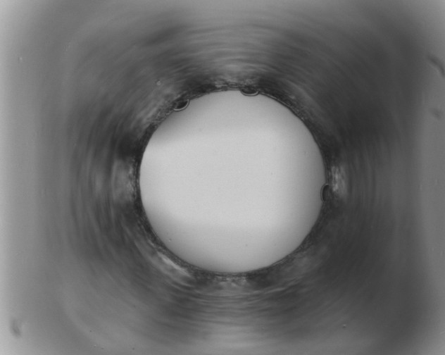 X0000103300915200809122026